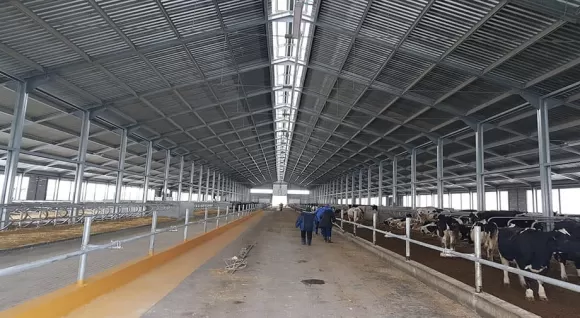 Фермы Фермы